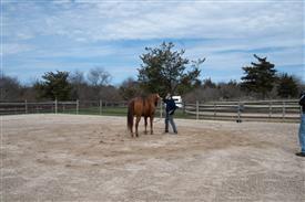 LR-WRF 0402026 Retreat-3188